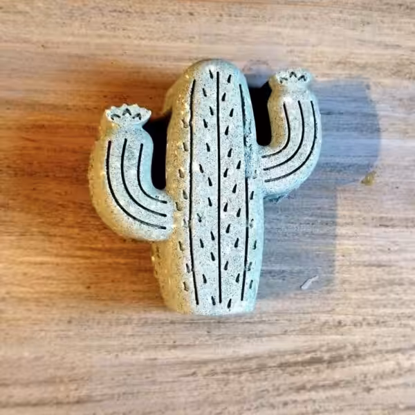 Saguaro Cactus Bath Bombs